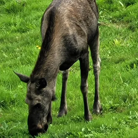 Apartment Adventure House Katrine *